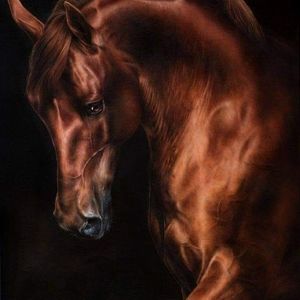 Meet your Posher, Alejandro